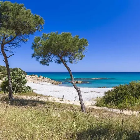 Apartamento Casa Delle Mimose