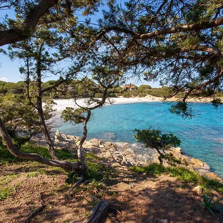 Casa Delle Mimose Apartman Orosei